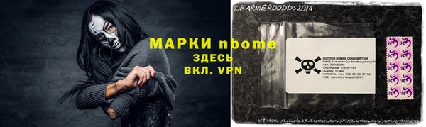 2c-b Бородино