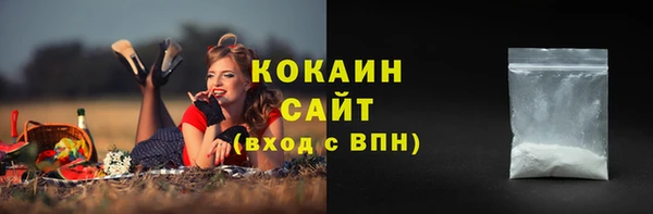 2c-b Бородино