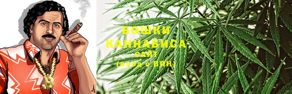 2c-b Бородино